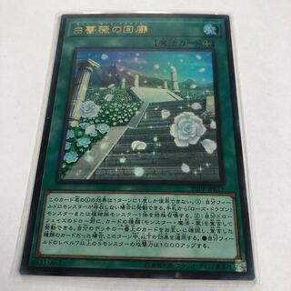 白薔薇の回廊 【ウルトラレア】