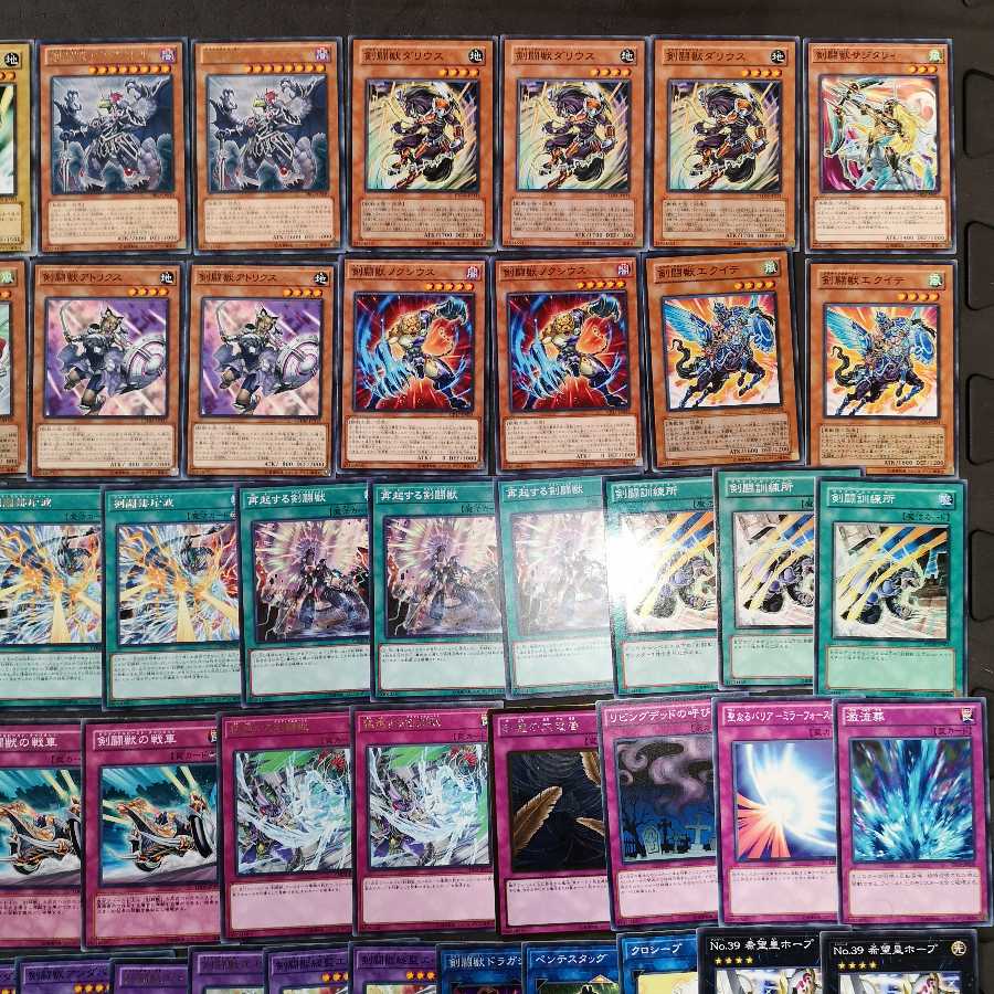 №13　遊戯王　剣闘獣　デッキ