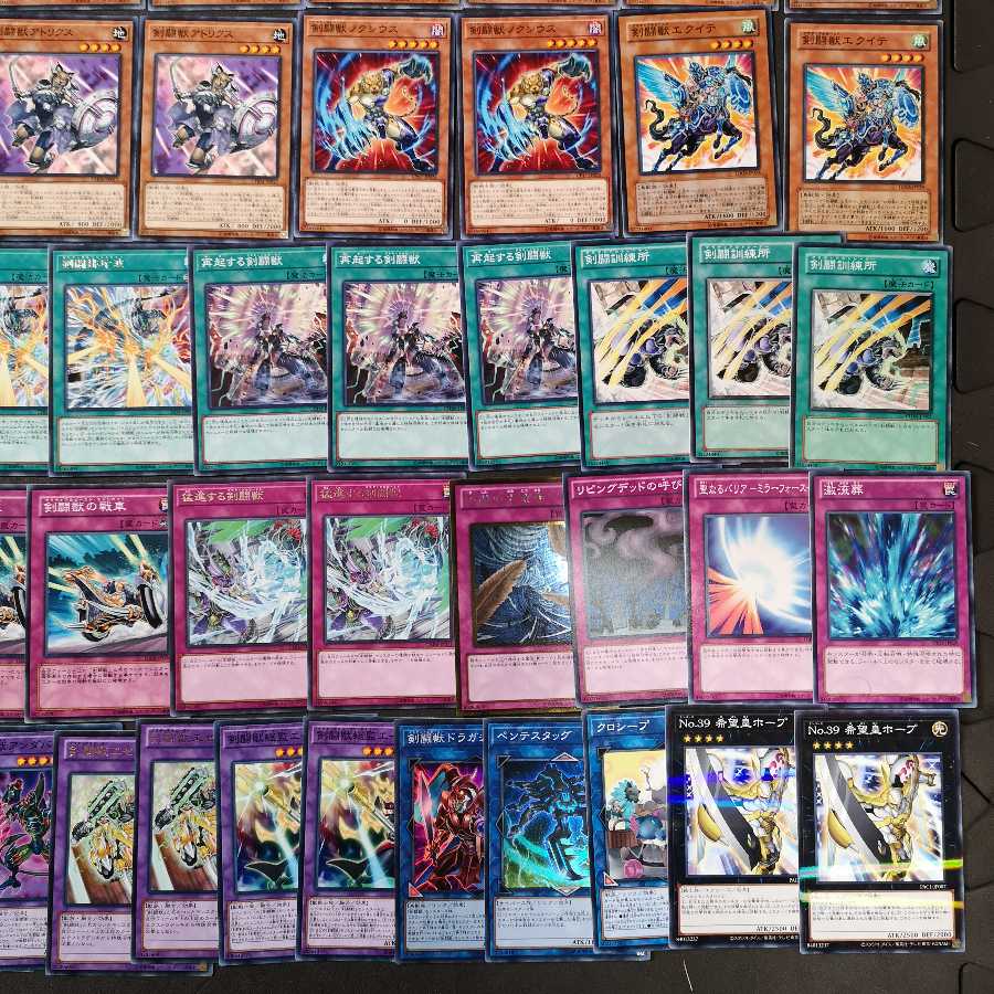 №13　遊戯王　剣闘獣　デッキ