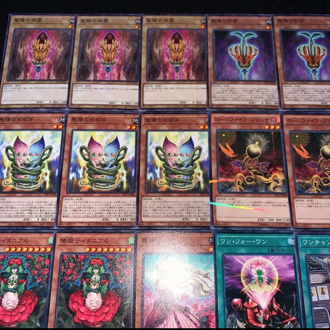 遊戯王 聖天樹 デッキ40枚EX15枚