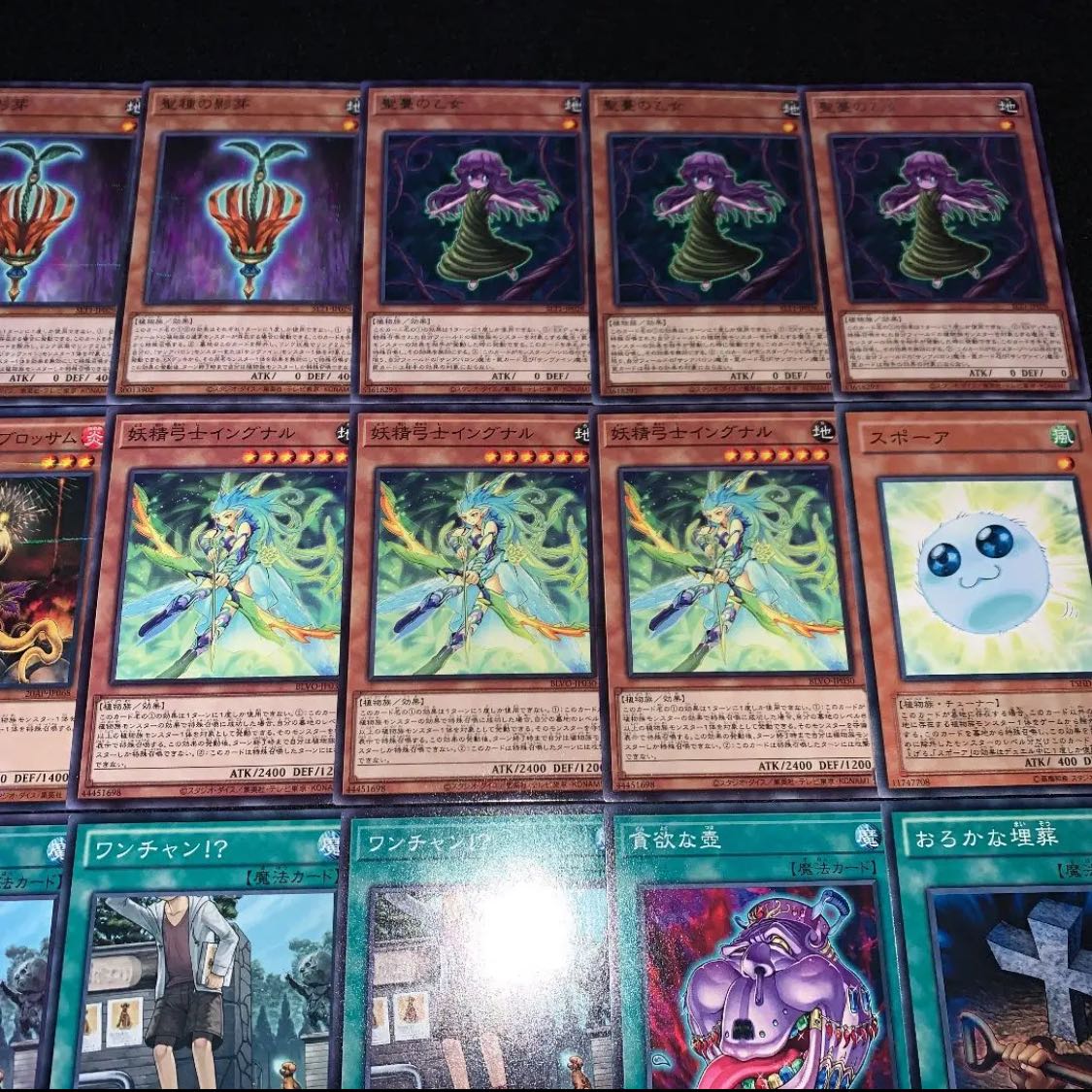 遊戯王 聖天樹 デッキ40枚EX15枚