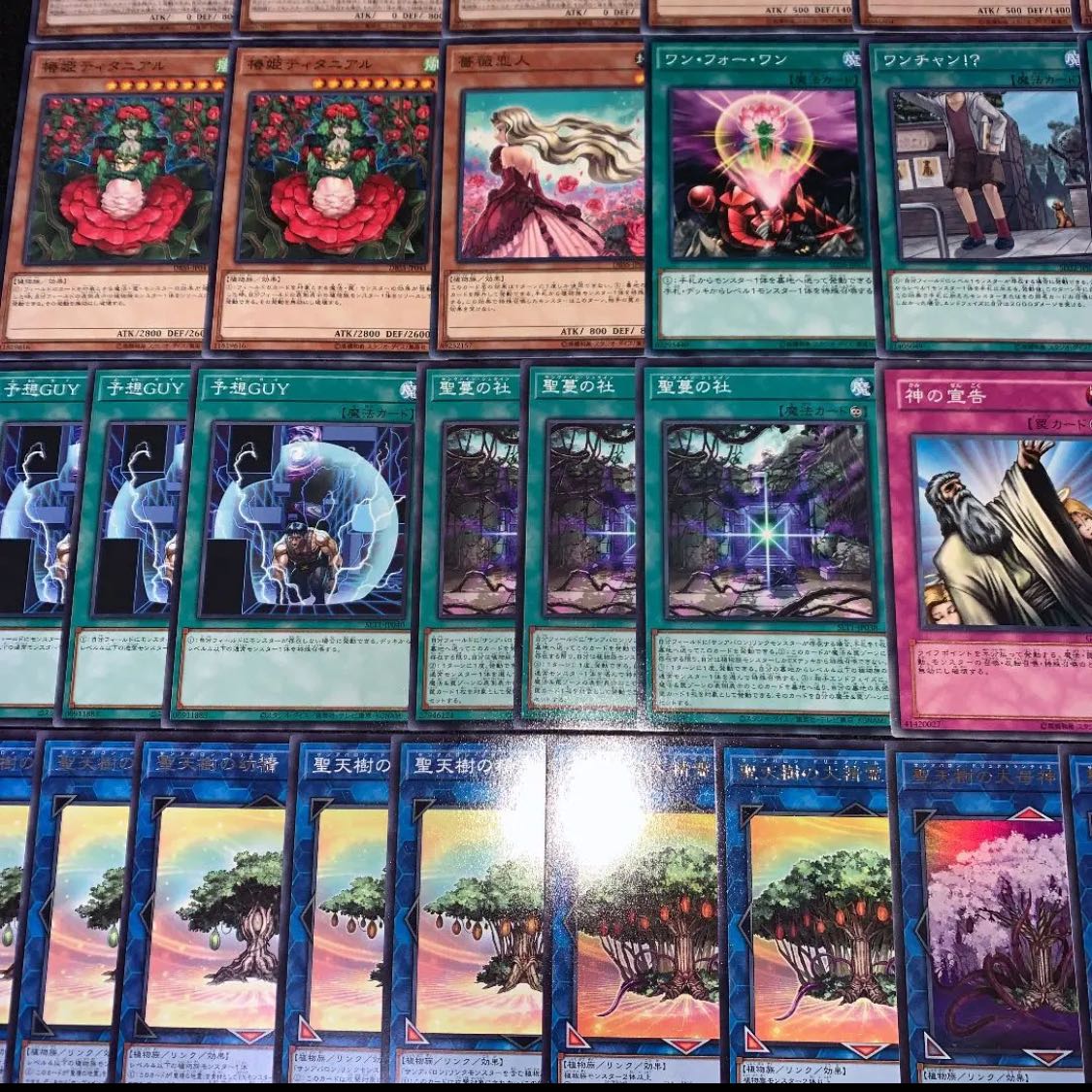 遊戯王 聖天樹 デッキ40枚EX15枚