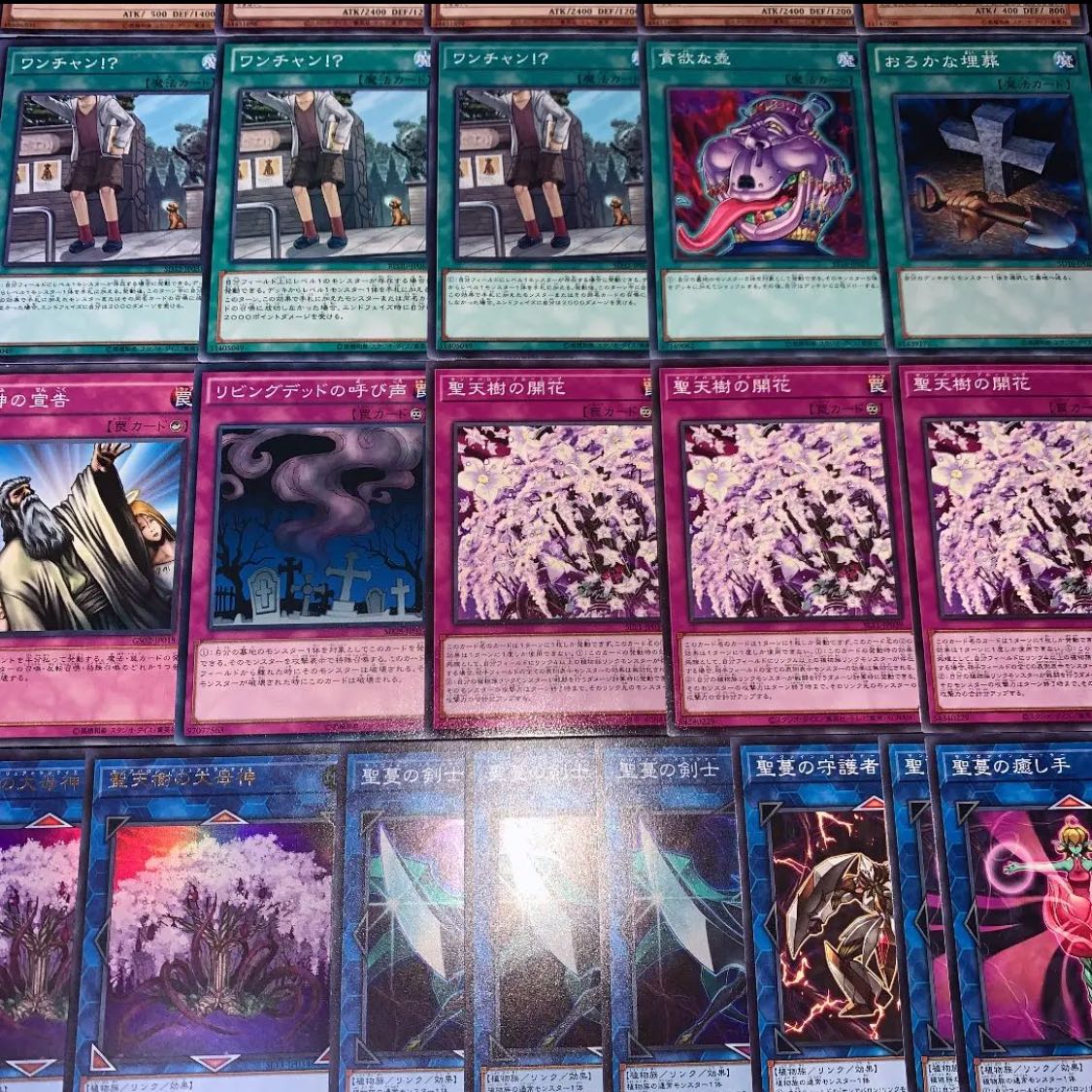 遊戯王 聖天樹 デッキ40枚EX15枚