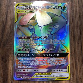 フシギバナ＆ツタージャGX HR