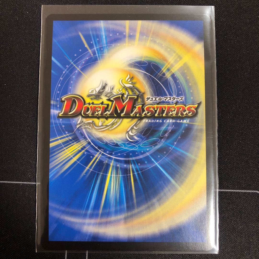 「智」の頂 レディオ・ローゼス