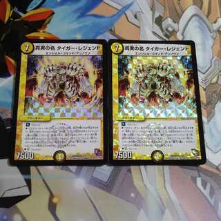 The True Name Tiger Legend