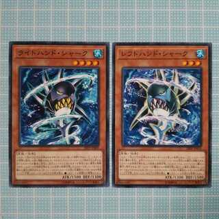 【セット】ライトハンド・シャーク　レフトハンド・シャーク N