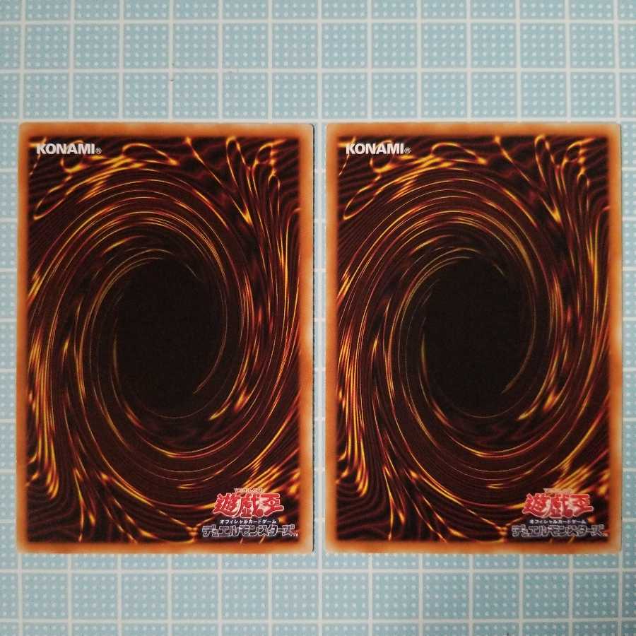 【セット】ライトハンド・シャーク　レフトハンド・シャーク N