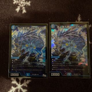 水上第九院 シャコガイル SR