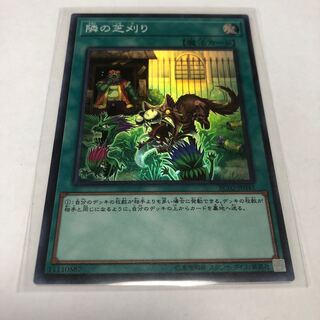 隣の芝刈り【スーパーレア】