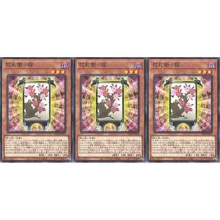 花札衛－桜－ ノーマル 3枚 CP20029　ケイトレード