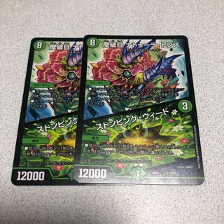 摩破目 ナトゥーラ・トプス｜ストンピング・ウィード