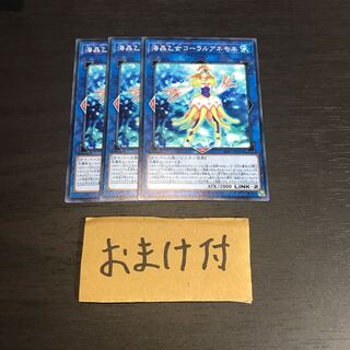 海晶乙女コーラルアネモネ ノーマル