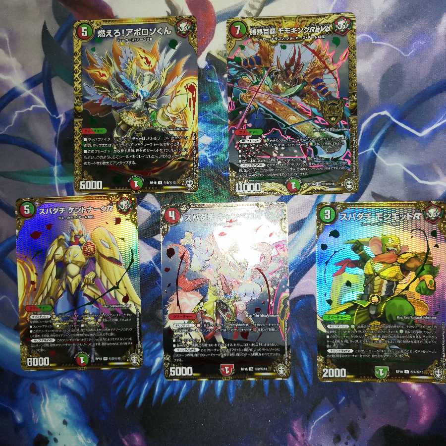 スパダチセット