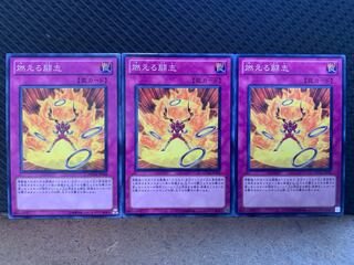 【ぽぽたん】遊戯王 301 燃える闘志 3枚 ノーマル