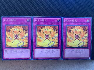 【ぽぽたん】遊戯王 6537 燃える闘志 3枚 ノーマル