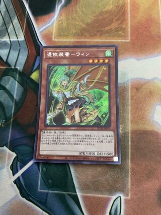 憑依装着-ウィン