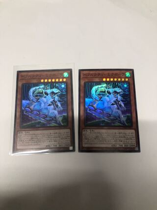 ベアルクティミクポーラ2枚セット