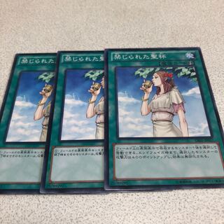 禁じられた聖杯