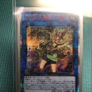 崔嵬の地霊使いアウス 20thシークレット