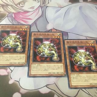 融合呪印生物-光　3枚　遊戯王