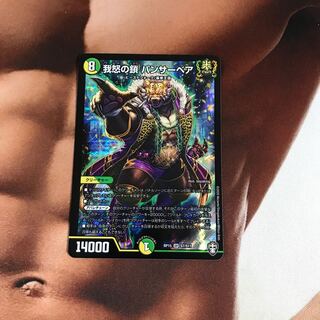 我怒の鎖 パンサーベア