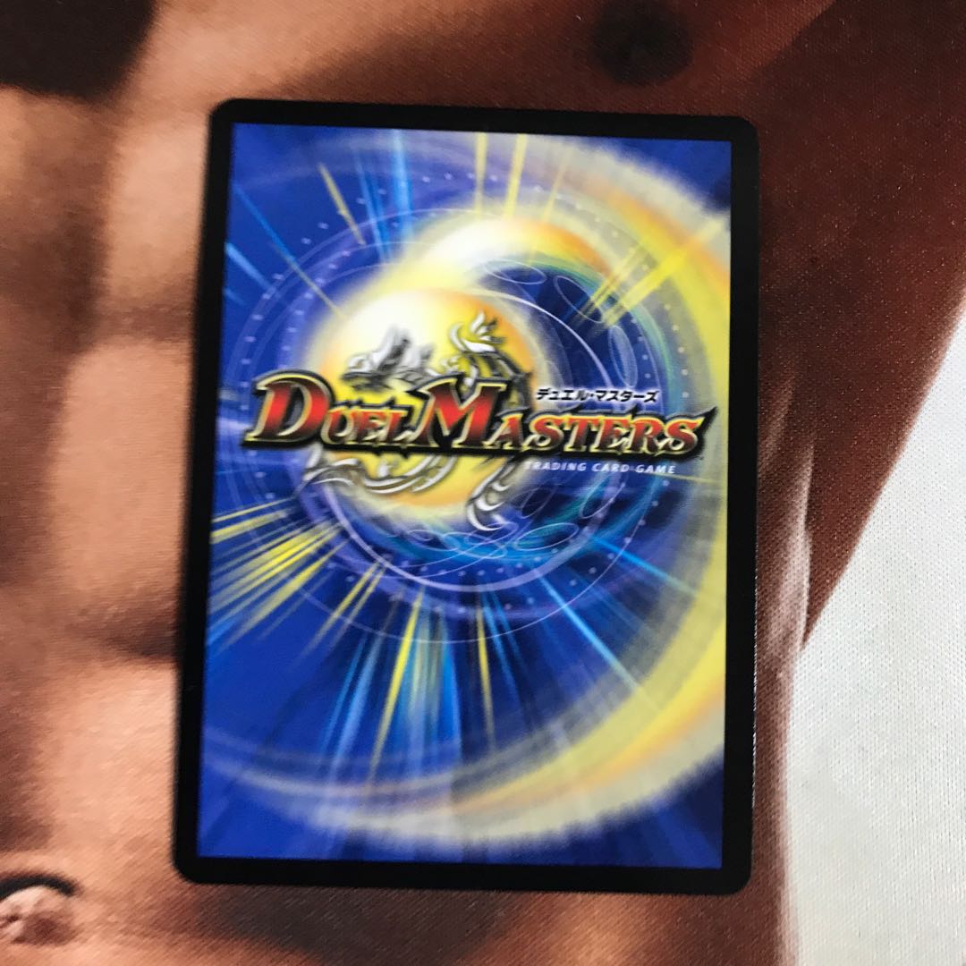 我怒の鎖 パンサーベア