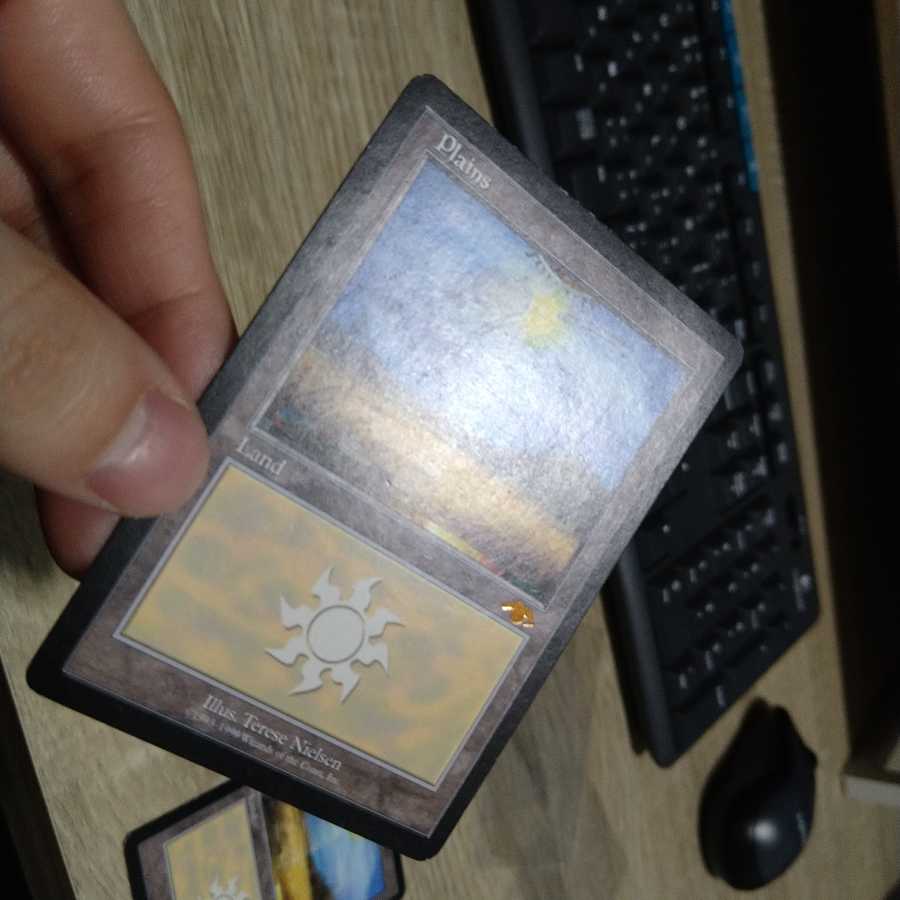 guru  グルランド　平地①　SP