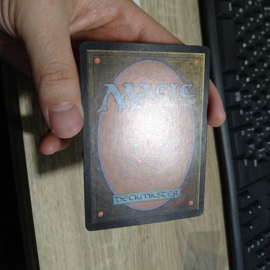 guru  グルランド　平地①　SP