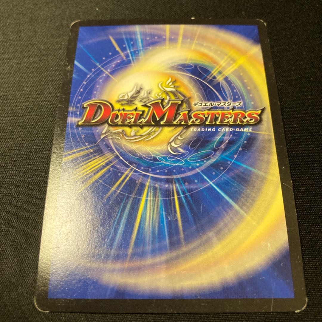 煌龍 サッヴァーク