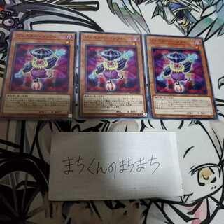 774　ジェスター・コンフィ3枚set