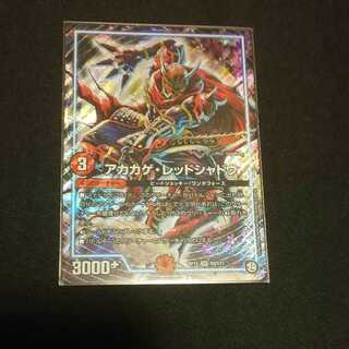 アカカゲ・レッドシャドウ