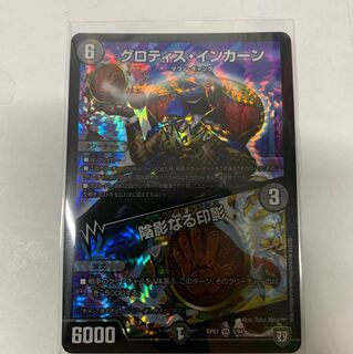グロティスインカーン 1枚