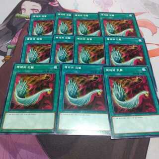 韓国　ハーピィの羽根帚 ノーマル