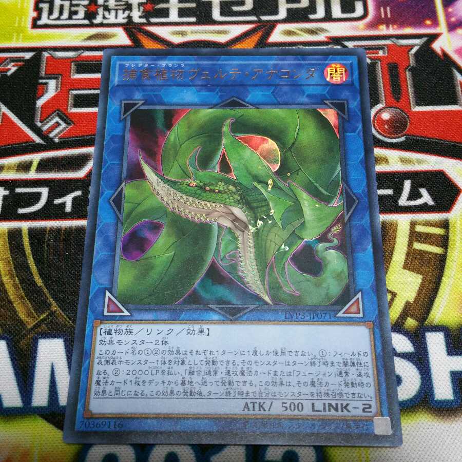 捕食植物ヴェルテ・アナコンダ ウルトラレア