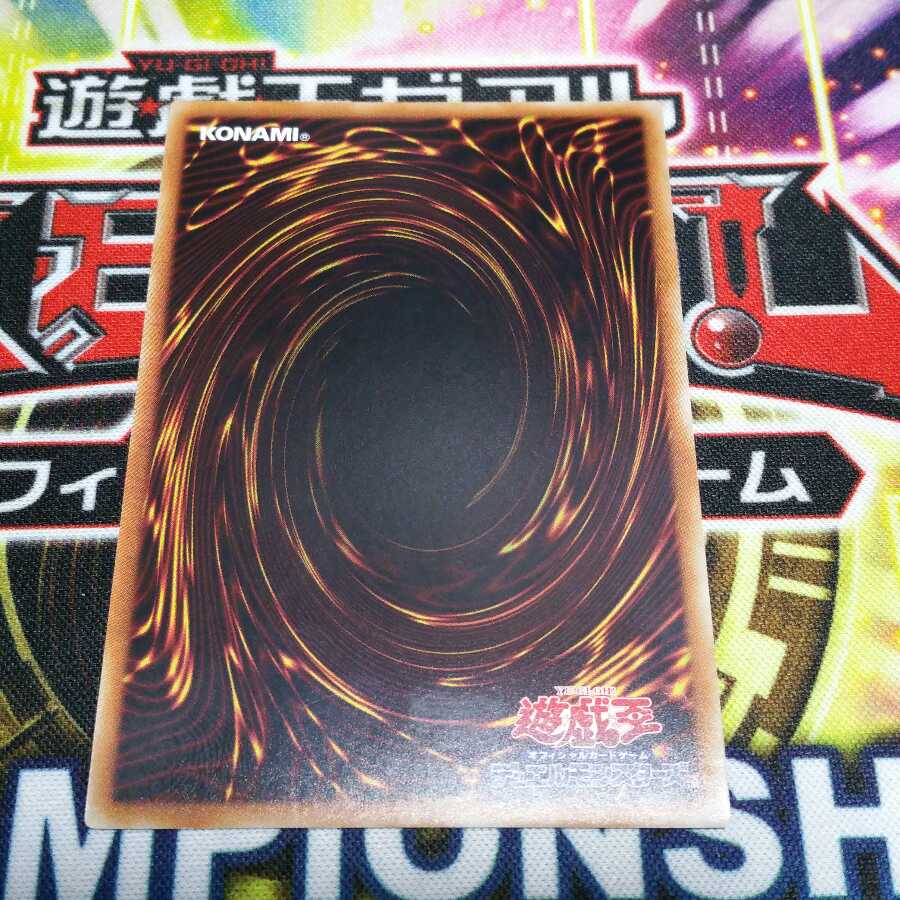 捕食植物ヴェルテ・アナコンダ ウルトラレア