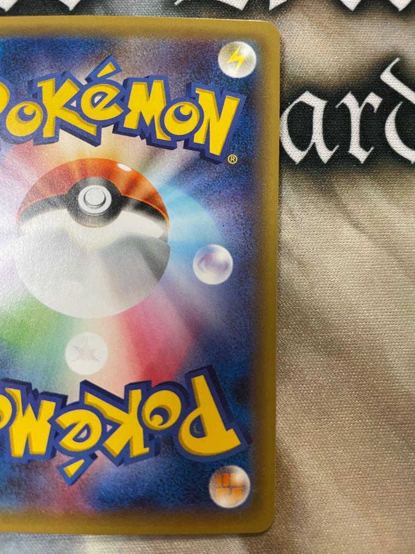 【期間限定値下げ】 ポンチョを着たピカチュウ レックウザ2種