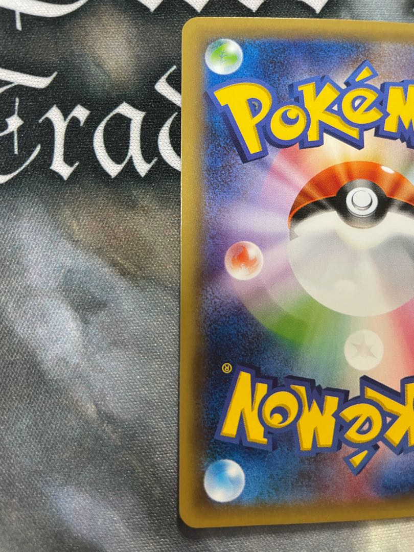 【期間限定値下げ】 ポンチョを着たピカチュウ レックウザ2種