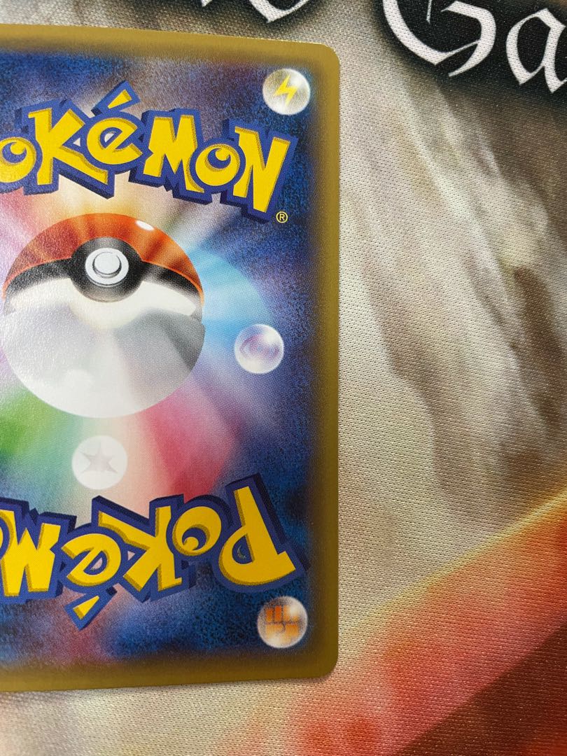 【期間限定値下げ】 ポンチョを着たピカチュウ レックウザ2種