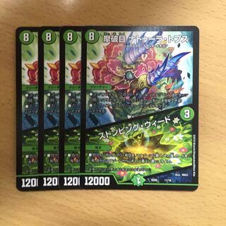 摩破目 ナトゥーラ・トプス｜ストンピング・ウィード