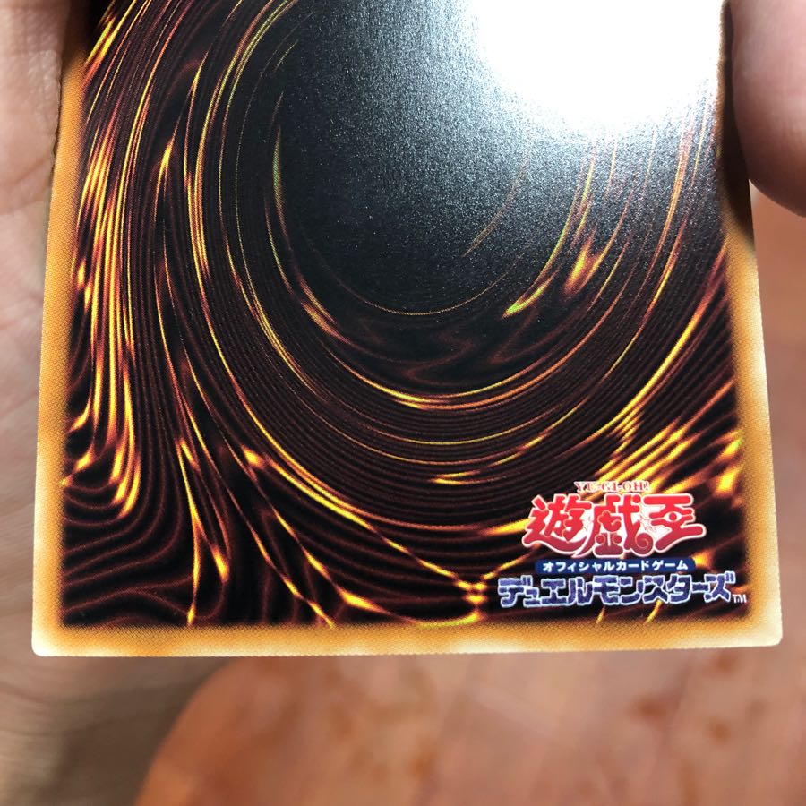 Ruby様専用 カオスソルジャー