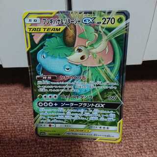 フシギバナ&ツタージャ