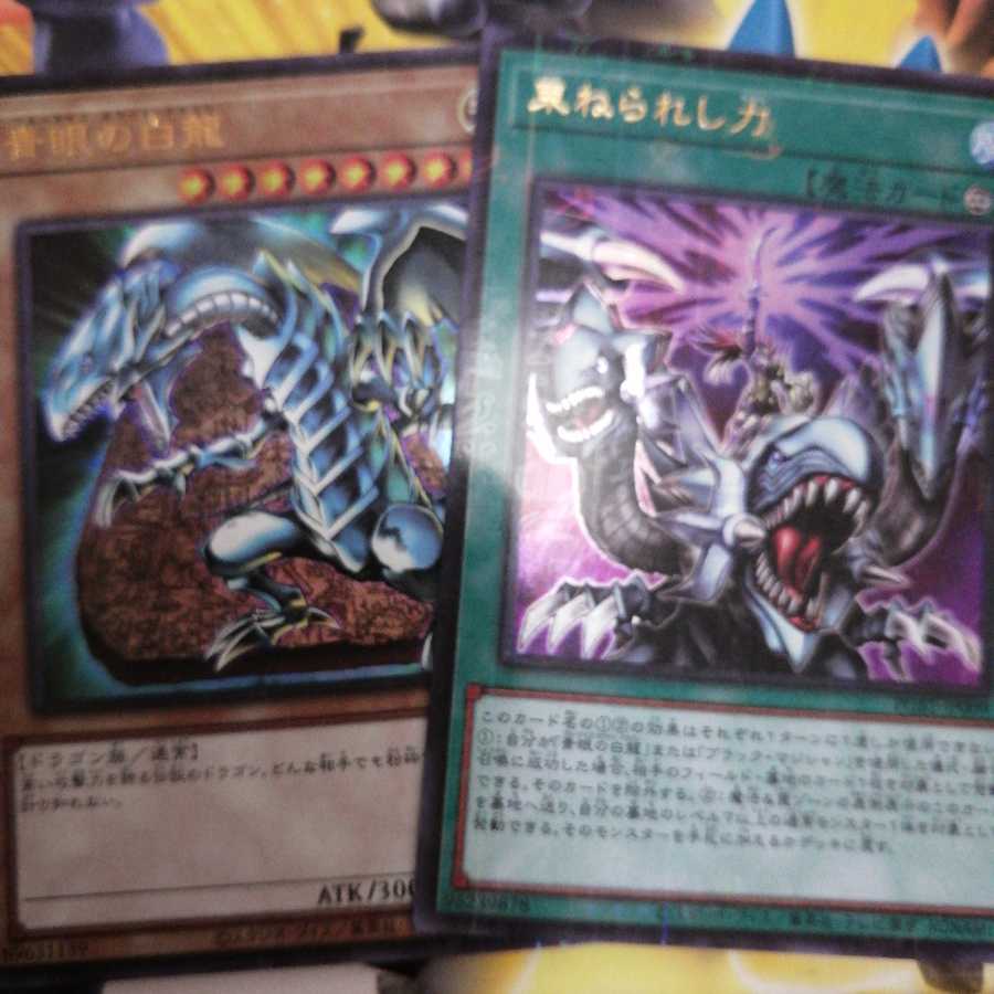 青眼の白龍 束ねられし力