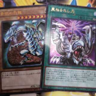 青眼の白龍 束ねられし力