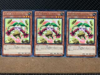 【ぽぽたん】遊戯王 7105 占術姫コインノーマ 3枚 レア