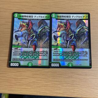 地掘類蛇蝎目 ディグルピオン