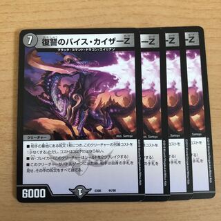 Vengeance's Vice Kaiser Z