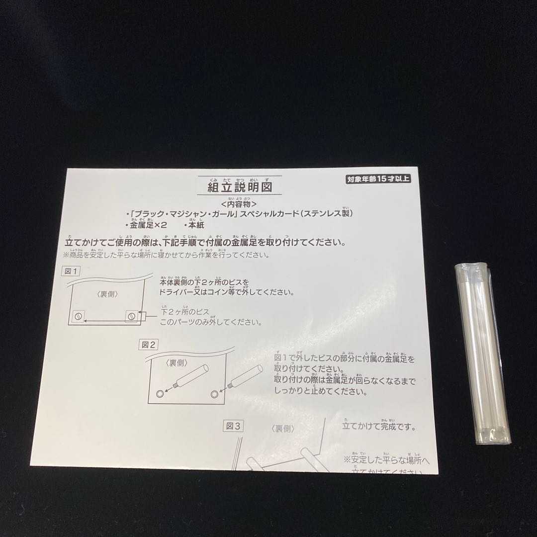 No.04469 ステンレス製ブラック・マジシャン・ガール　ステンレスガール