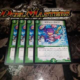 ピクシー・ライフ