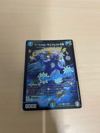 ソーシャル・マニフェストII世